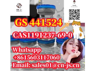 Cat medicine CAS1191237-69-0 GS 441524