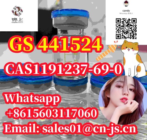 cat-medicine-cas1191237-69-0-gs-441524-big-0