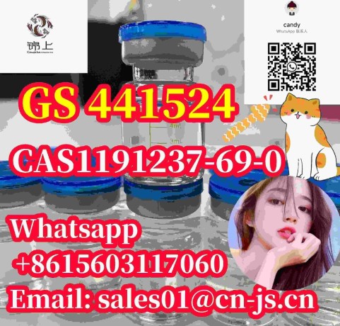 cat-medicine-cas1191237-69-0-gs-441524-big-1