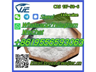 China High Purity Factory Supply Chemical CAS 137-58-6 Lidocaine Powder