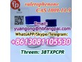 cas-1009-14-9-valerophenone-small-0