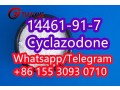 14461-91-7-cyclazodone-factory-supply-small-1