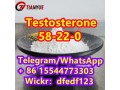 testosteronecas-58-22-0-small-0