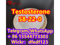 testosteronecas-58-22-0-small-2