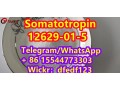 somatotropincas-12629-01-5-small-1