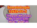 somatotropincas-12629-01-5-small-3