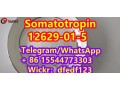 somatotropincas-12629-01-5-small-0