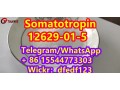 somatotropincas-12629-01-5-small-2