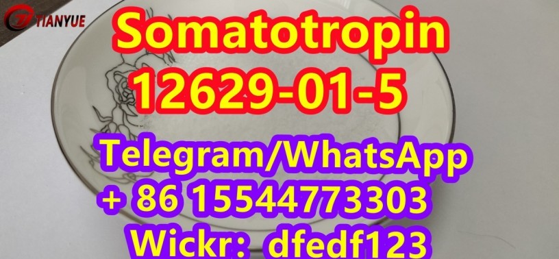 somatotropincas-12629-01-5-big-3