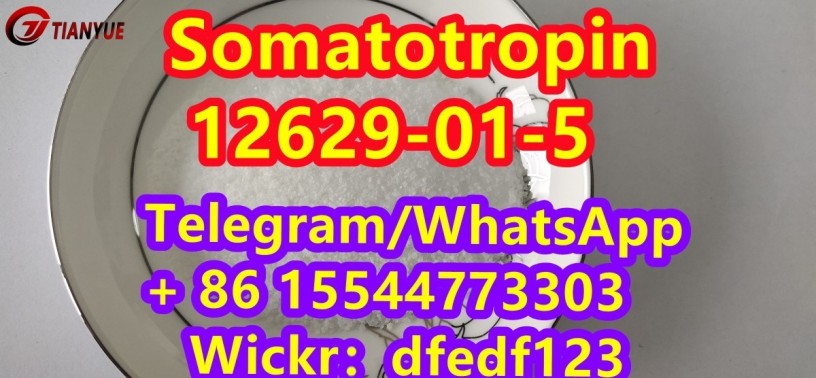 somatotropincas-12629-01-5-big-0