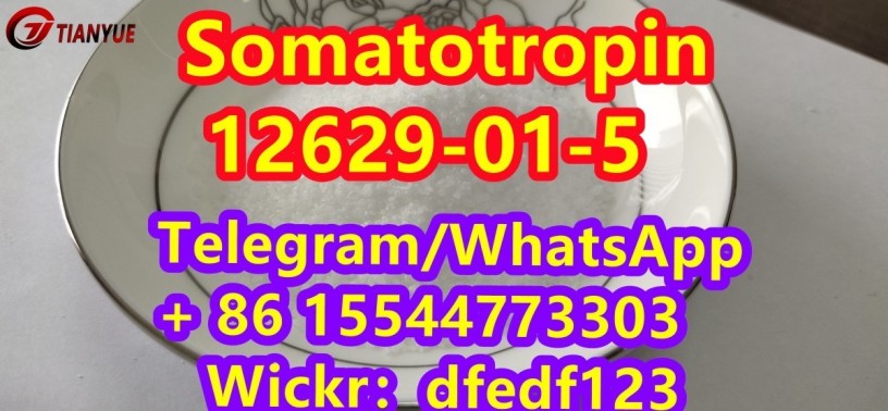 somatotropincas-12629-01-5-big-2