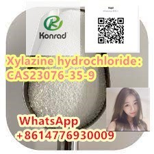 xylazine-hydrochloridecas23076-35-9-big-4