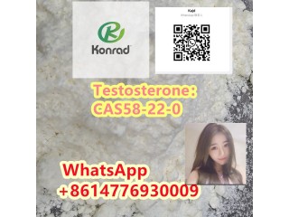 TestosteroneCAS58-22-0