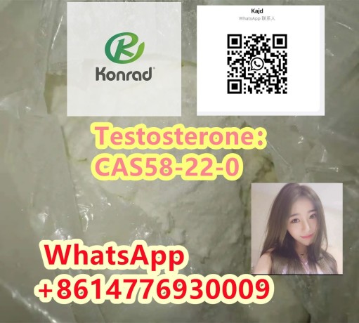 testosteronecas58-22-0-big-1