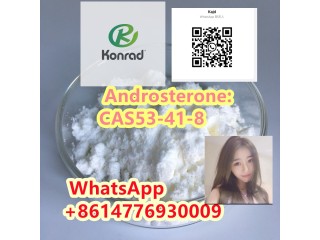 Androsterone:CAS53-41-8