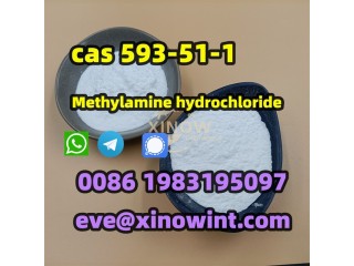 R Methylamine hydrochloride Cas 593-51-1 from China manufacturer