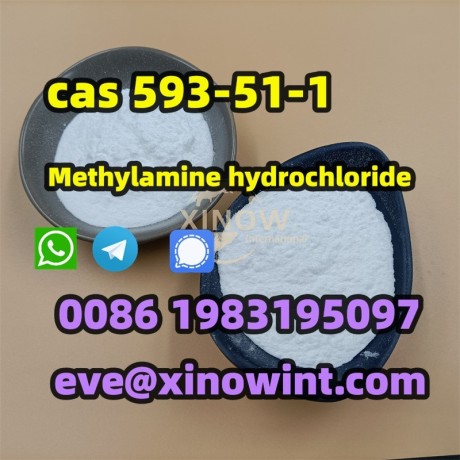 r-methylamine-hydrochloride-cas-593-51-1-from-china-manufacturer-big-0