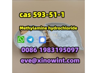 Factory Supply High Purity methylamine hydrochloride CAS 593-51-1 99% White crystals AM Chemical Grade