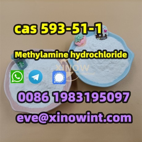 chemicals-high-purity-powder-cas-593-51-1-methylamine-hydrochloride-big-1