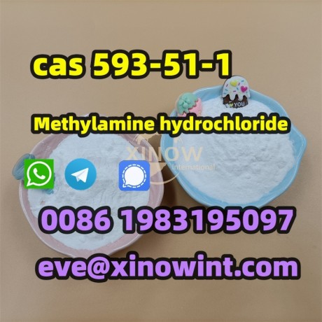 chemicals-high-purity-powder-cas-593-51-1-methylamine-hydrochloride-big-2