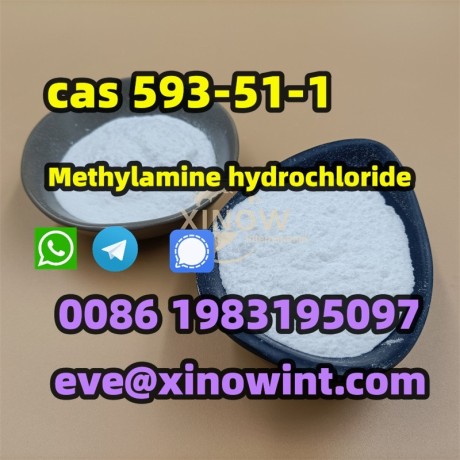 buy-china-cas-593-51-1-methylamine-hydrochloride-big-1