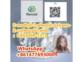 2-methyl-3-phenyl-oxirane-2-carboxylic acidCAS5449-12-7