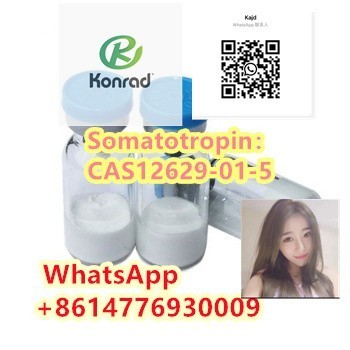 somatotropincas12629-01-5-big-2