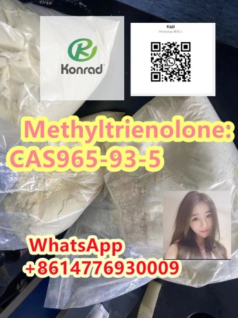 methyltrienolonecas965-93-5-big-4