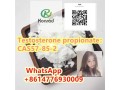 testosterone-propionatecas57-85-2-small-2