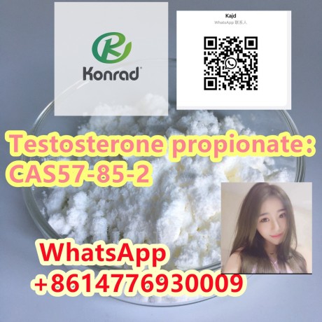 testosterone-propionatecas57-85-2-big-0