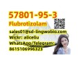 flubrotizolam-cas-57801-95-3-small-3