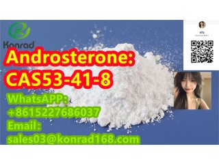 Androsterone:CAS53-41-8