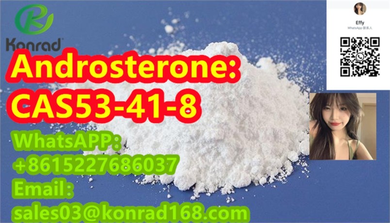 androsteronecas53-41-8-big-0