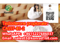 testosterone-propionatecas57-85-2-small-2