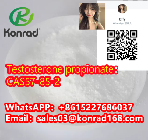 testosterone-propionatecas57-85-2-big-0