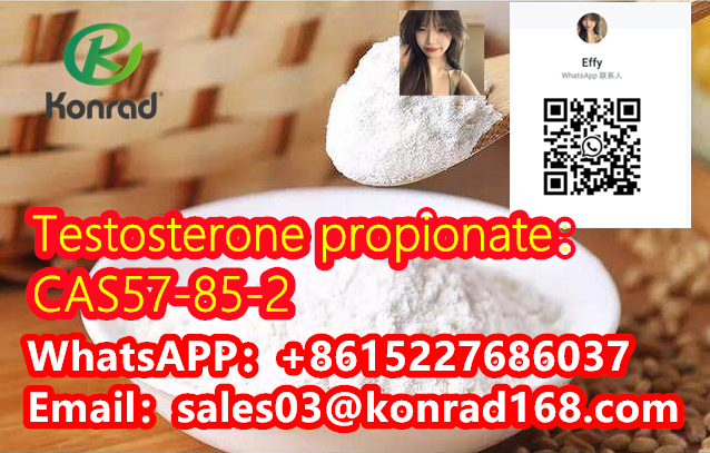 testosterone-propionatecas57-85-2-big-2