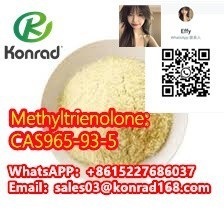 methyltrienolonecas965-93-5-big-3