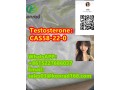 testosteronecas58-22-0-small-1