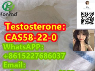 TestosteroneCAS58-22-0