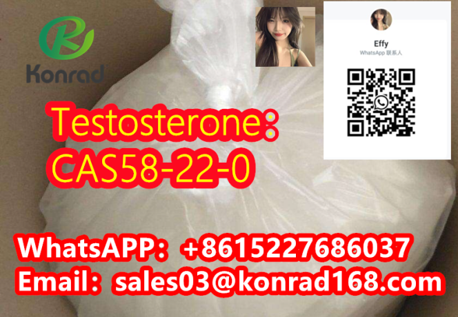 testosteronecas58-22-0-big-2