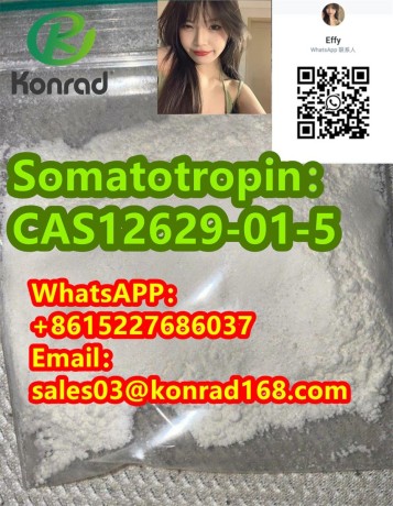 somatotropincas12629-01-5-big-0