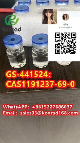 gs-441524cas1191237-69-0-big-4