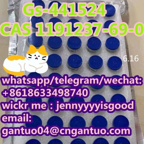 cat-gs-441524-cas-1191237-69-0-remdesivir-metabolite-big-0