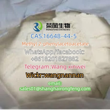 cas16648-44-5-methyl-2-phenylacetoacetate-big-0