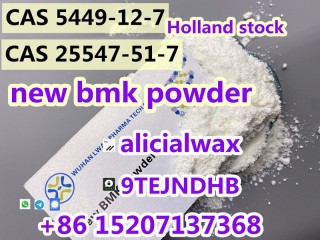 New BMK Powder CAS 25547-51-7/5449-12-7 convert to oil bmk recipe