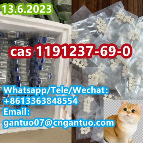 antiviral-99-gs-441524-cas1191237-69-0-big-0