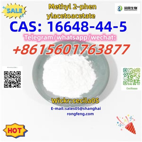 cas-16648-44-5-methyl-2-phenylacetoacetate-big-1