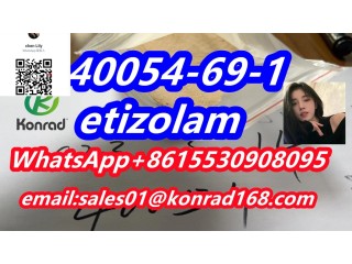 Etizolam  CAS 40054-69-1