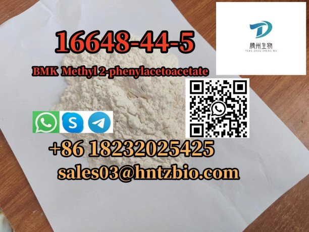 16648-44-5-bmk-methyl-2-phenylacetoacetate-big-0