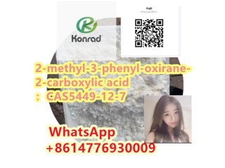 2-methyl-3-phenyl-oxirane-2-carboxylic acidCAS5449-12-7